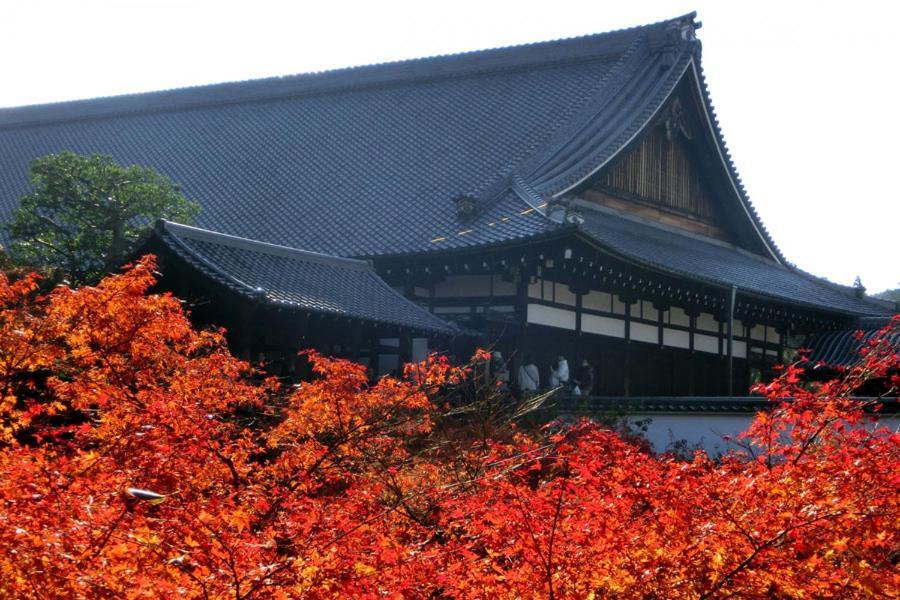Yutaka Hotell Kyoto Eksteriør bilde